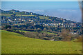 Ilfracombe : Grassy Field