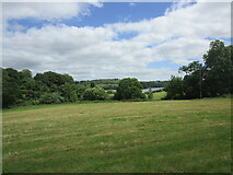 W3871 : Grass field and the River Lee by Jonathan Thacker