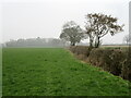 SJ3428 : Field edge on a grey day by John H Darch