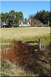 NJ2343 : Field and Gate at Annfield by Anne Burgess