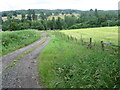 Track towards Allan Water