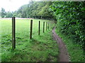 Path beside Allan Water