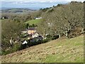 Houses at the Upper Wyche