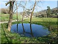 Pond at Middle Farm