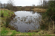 NJ3159 : Pond at Easter Bauds by Anne Burgess
