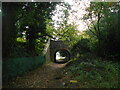  A footpath in Valley Woods 