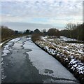 Frozen Bridgewater Canal