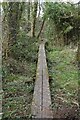 Boardwalk across streams and bog