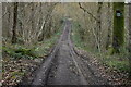 SU3123 : Bridleway through the woods at Dunwood by David Martin