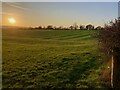 Ridge and Furrow field in the evening