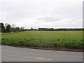 Winter Cereals with Water Tower in background