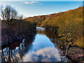 River Irwell, Ringley/Prestolee