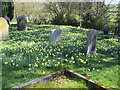 SE6797 : Farndale churchyard by T  Eyre