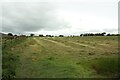 SE2354 : Mown grass field, Long Liberty Farm by Graham Robson