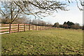 Earthworks picked out by fence line next to Manor Farm, Covenham St. Bartholomew (1)