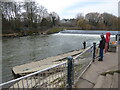 Angler at the weir in Shrewsbury