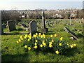 Greenwich Cemetery