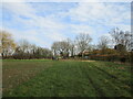 Permissive footpath at Fenton