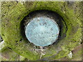 Ancient wagon wheel hub cap at Sundorne Farm