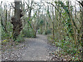 Path to amphitheatre, The Hawth, Crawley