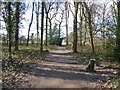 Path from The Hawth arts centre to Southgate Park