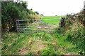 NY2651 : Field gateway on SE side of rural road NE of Moorhouse Farm by Roger Templeman