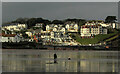 Flats above Goodrington Sands