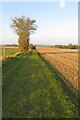 Public footpath towards Stoke Goldington