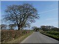 Approaching Burridge Moor Cross