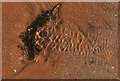 SX8957 : Water ripples, Broad Sands by Derek Harper