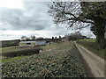 View on the lane at Broome near Church Preen