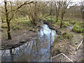 Broadfield Brook, Crawley