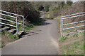 Viaduct Cycleway