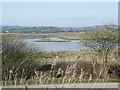 SX9586 : Exminster Marshes with Exminster in the distance by David Smith