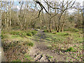 Rathlin Road Meadow, Pond and Wood, Crawley