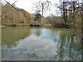 Rathlin Road Meadow, Pond and Wood, Crawley