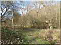 Rathlin Road Meadow, Pond and Wood, Crawley