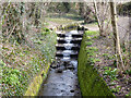 Weir, Broadfield Brook, Crawley