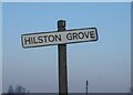 Hilston Grove, Hull