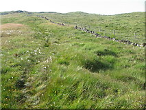 NS6404 : Path beside fence up Cannock Hill by Chris Wimbush