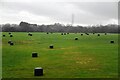 Wrapped bales