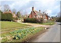 Daffodils by the High Street