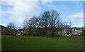 Fields near Yearsley Bridge