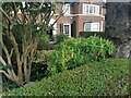 Garden in Gurney Drive, Hampstead Garden Suburb