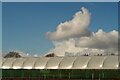 Plant nursery roof