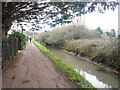 Taunton : Footpath