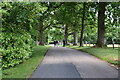 Driveway from Old House Farm