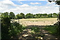 Field, Chiddinglye Farm