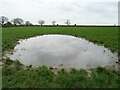 Flooded field