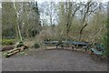 Benches near Mayfield Pond